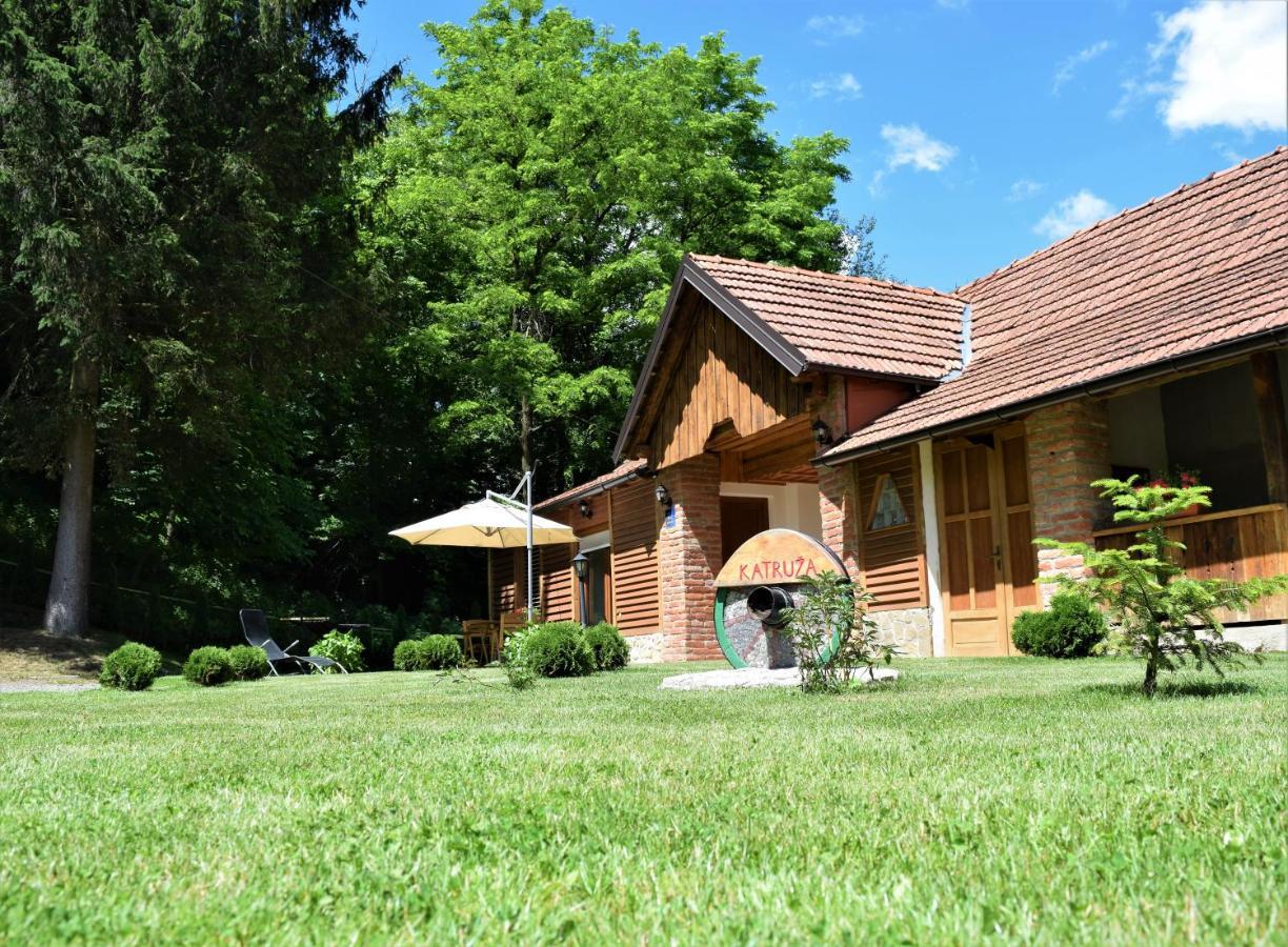 Apartmani Katruza Sveti Martin Na Muri Extérieur photo
