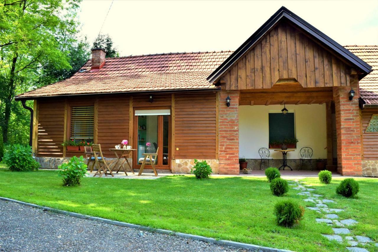 Apartmani Katruza Sveti Martin Na Muri Extérieur photo
