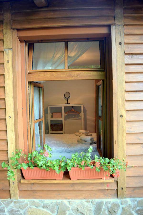 Apartmani Katruza Sveti Martin Na Muri Extérieur photo